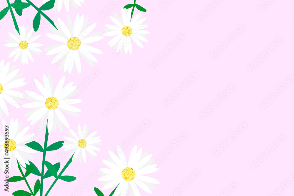 Pink white daisies background with space for text	