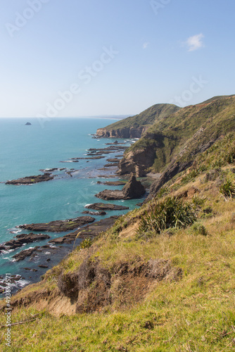 Marine Landscape. The view of rocky coastline at West Coast near Auckland  New Zealand.