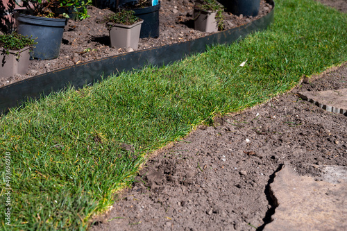 Making of natural green lawn in garden with rolls of green grass, garden works in spring