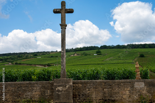 Famous clos vineyards with stone walls near Nuits-Saint-Georges in Burgundy wine region  France