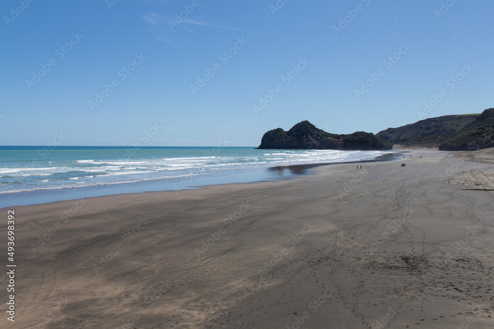 Bethells beach in a sunny day, New Zealand.