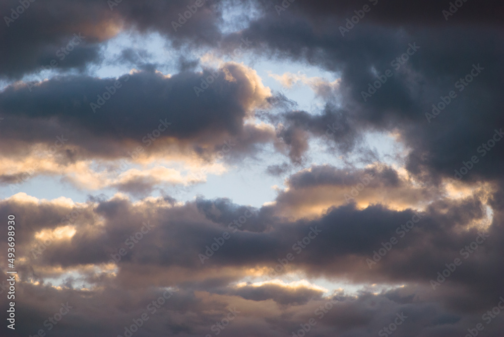 Obraz premium Afternoon glow