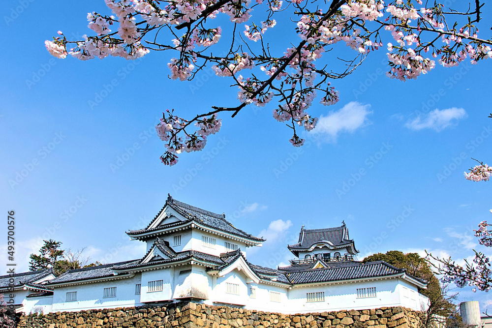 岸和田城 岸和田城