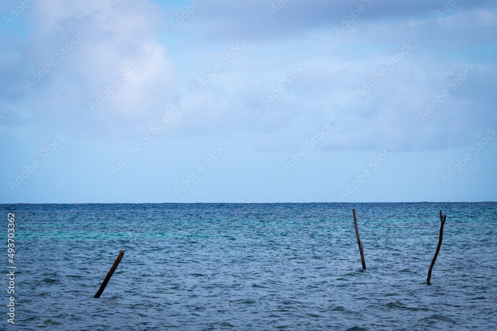 Sea of Different Shades with some Wooden Sticks Sea of Different Shades with some Wooden Sticks