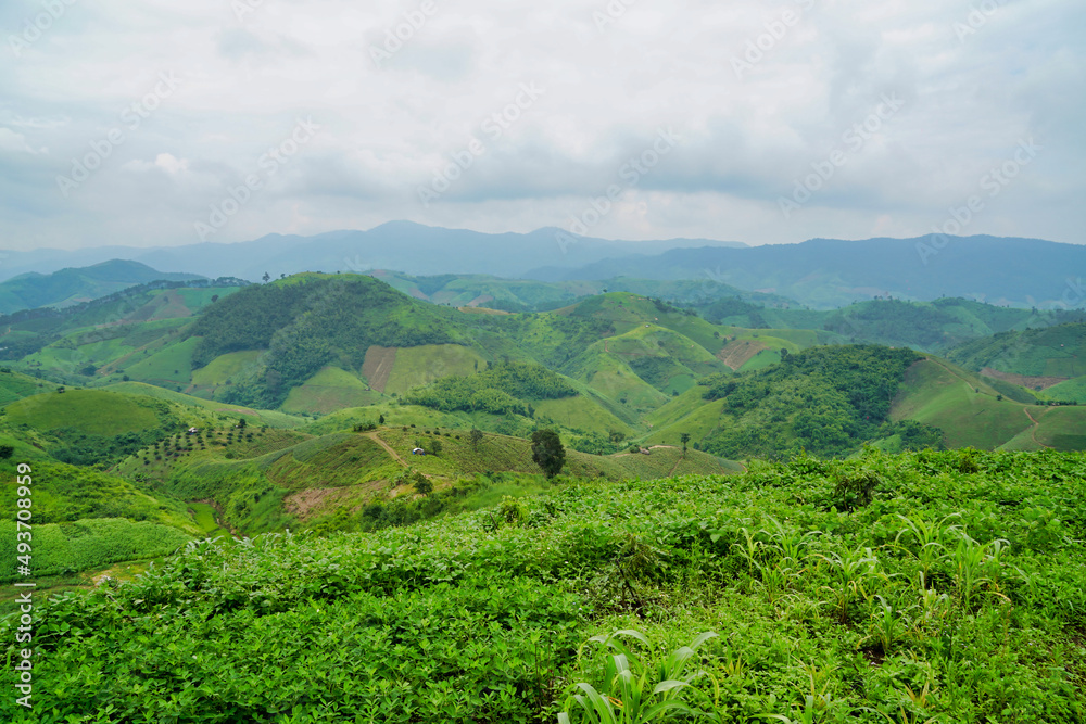 View of forests and mountains and clouds in the sky at northern Thailand.