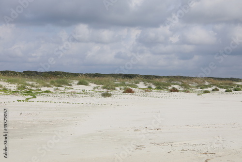 beach and sea