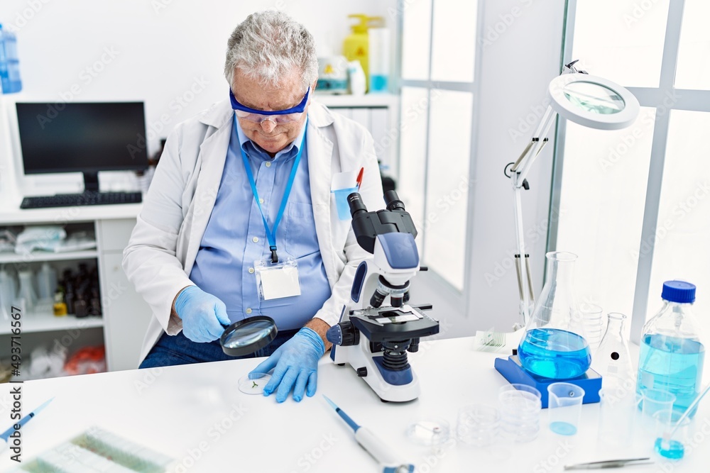 Middle age grey-haired man wearing scientist uniform using loupe at laboratory Middle age grey-haired man wearing scientist uniform using loupe at laboratory