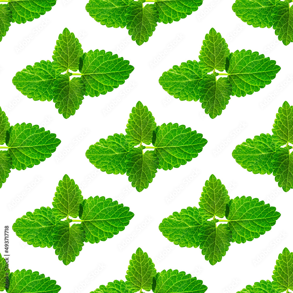 Seamless pattern of fresh mint leaves on white background for packaging design. peppermint abstract background. Seamless pattern of fresh mint leaves on white background for packaging design. peppermint abstract background.