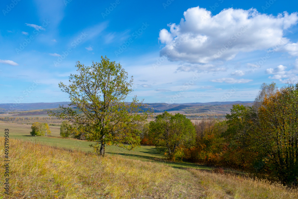 Beautiful autumn landscape overlooking the valley, sunny day. Autumn nature.