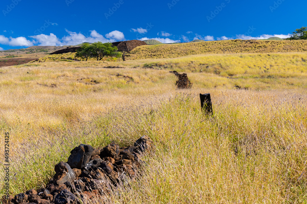 Obraz premium Lava Stone Fence Leading Uphill to Pu'ukohola Heiau National Historic Site, Hawaii Island, Hawaii, USA
