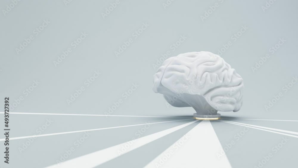 Human brain Anatomical Model power of people, Imagination and knowledge in the concept of education and human physiology with podium stand and with direction isolated on blue background 3d rendering Human brain Anatomical Model power of people, Imagination and knowledge in the concept of education and human physiology with podium stand and with direction isolated on blue background 3d rendering