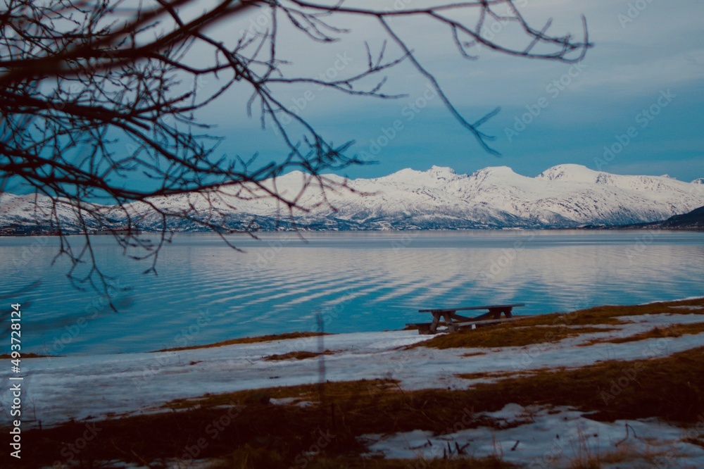 Landscape with snow, ice and ocean