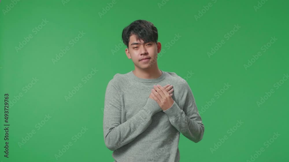 Proud Asian Man Touching Her Chest While Standing In Front Of Green Screen Background
Proud Asian Man Touching Her Chest While Standing In Front Of Green Screen Background