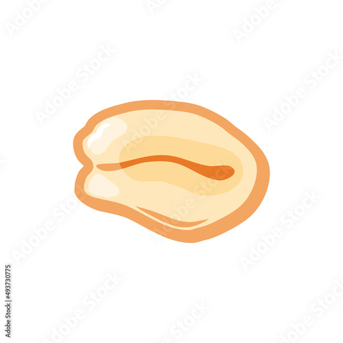 Oat grain on a white isolated background. Oat flakes. Vector cartoon icon. 