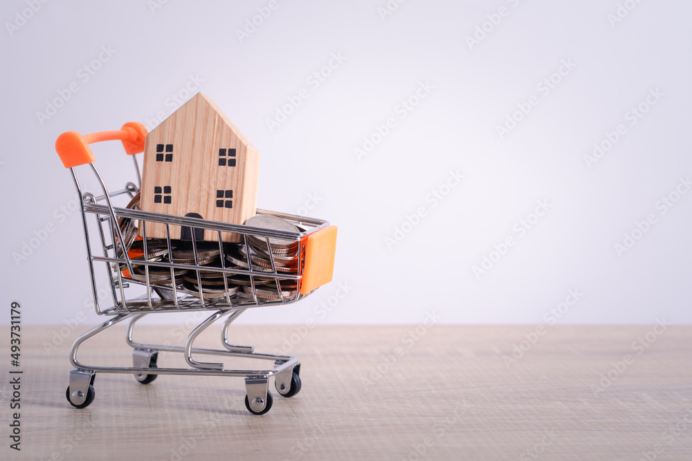 House or home with coin in shopping cart with copy space for text. Buying, selling and renting houses and property ladder, mortgage and real estate investment concept.