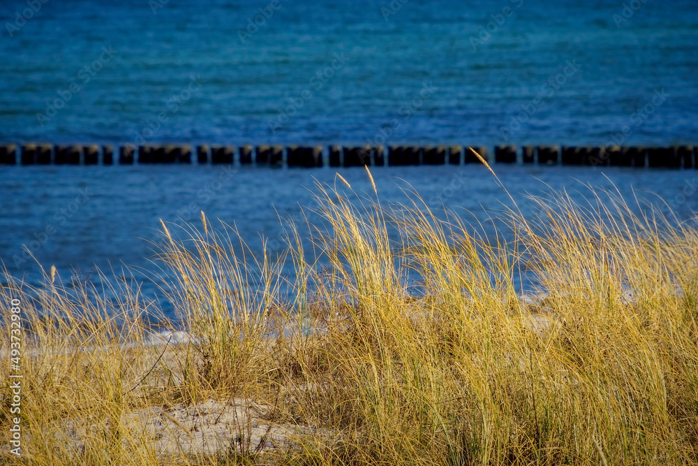 Ostseebad Kühlungsborn, Deutschland, Mecklenburg-Vorpommern Ostseebad Kühlungsborn, Deutschland, Mecklenburg-Vorpommern