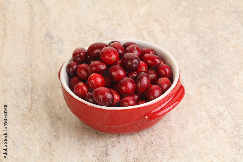 Ripe sweet tasty cranberry in the bowl Ripe sweet tasty cranberry in the bowl