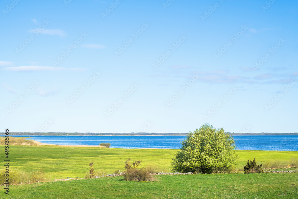 Fototapeta premium View of a grass meadow by a lake with a horizon