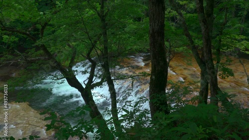 雑魚川にかかるハーモニカの滝