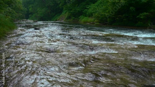清涼感ある夏の川