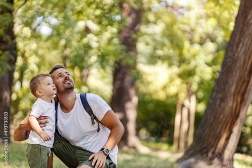 Father and son looking up at the tree and learning about forest fauna.