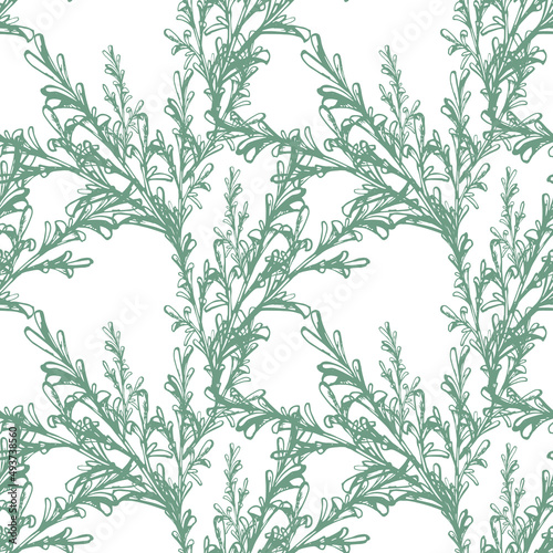 547_meat and spices sprig of rosemary  seamless pattern  graphics  green  delicate  vegetation  spice  plant 