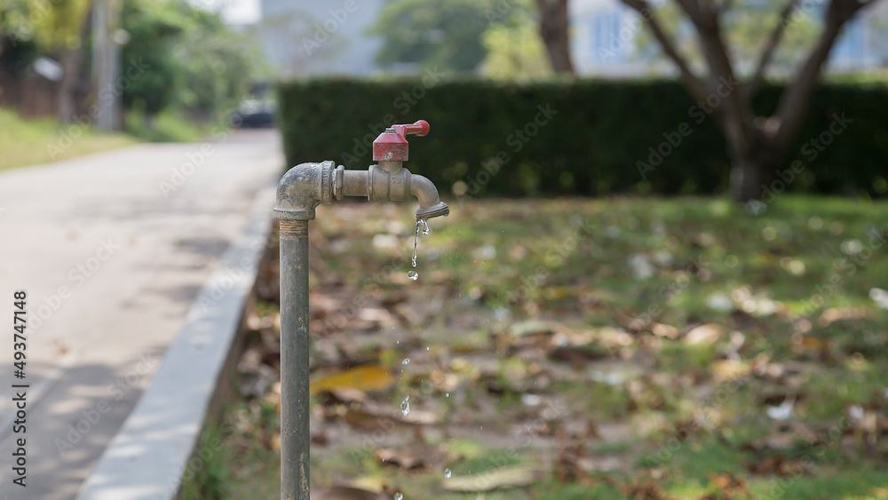 Turn off the water tap in the lawn.