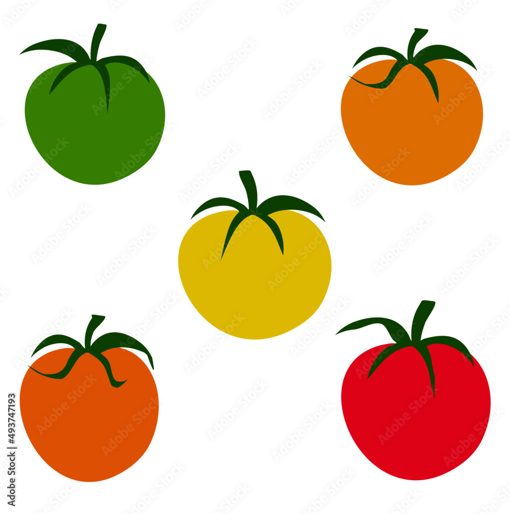 set of tomato set of tomato