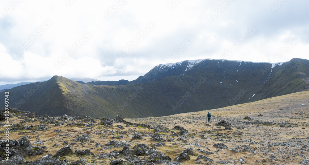 Fototapeta premium A walker heading towards Lower Man and Helvellyn in the Lake District