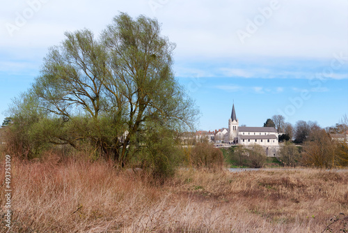 Fototapeta Naklejka Na Ścianę i Meble -  Loire river bank and La Chapelle-Saint-Mesmin village