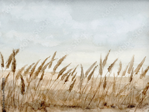 Pampas Wild Flower Grass Field Landscape, Hand Drawn and Painted Watercolor