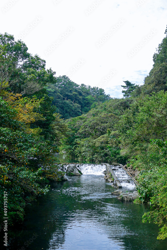 landscape with trees and river landscape with trees and river