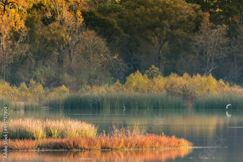 Canvas Print Horizontal image of a Texas pond in autumn.