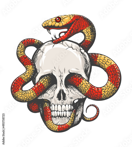 Human Skull and Tropical Snake Tattoo