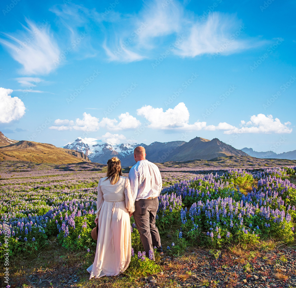 Beautiful landscape with oung couple in lupine flowers on a background of mountains in Iceland. Magical places. Exotic countries.
