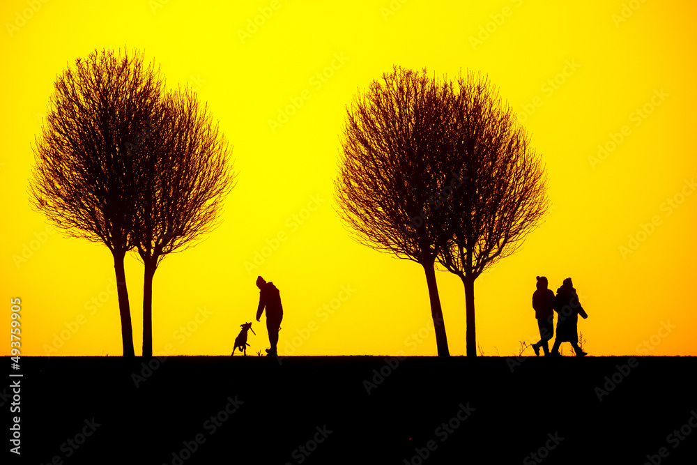 yellow sunset sky with silhouettes of people on the road with trees