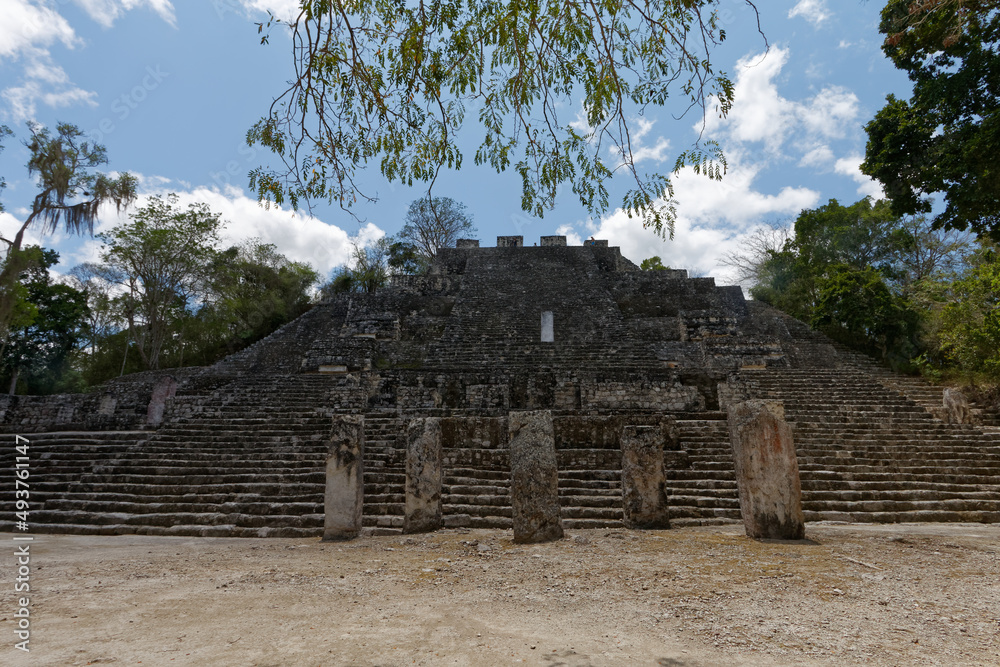 Dżungla w Calakmul (Meksyk) z ruinami miasta Majów - obrazy, fototapety, plakaty 
