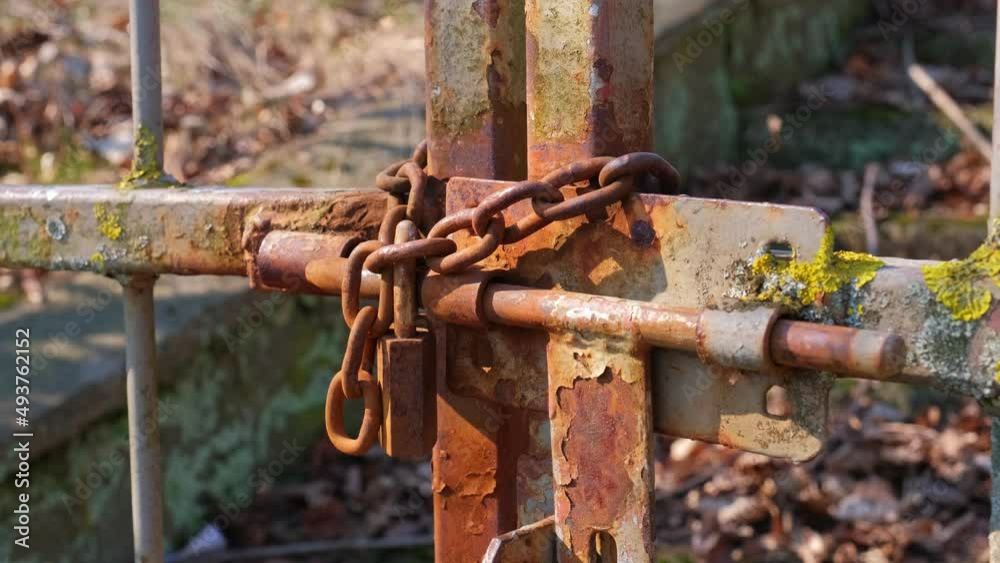 Metal Fence Gate Secured with Sliding Bolt Rusty Chained and Padlock Metal Fence Gate Secured with Sliding Bolt Rusty Chained and Padlock