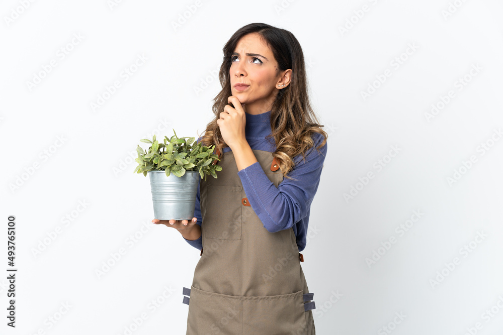Gardener girl holding a plant isolated on white background and looking up Gardener girl holding a plant isolated on white background and looking up