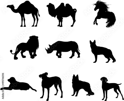 Set of Animals silhouette