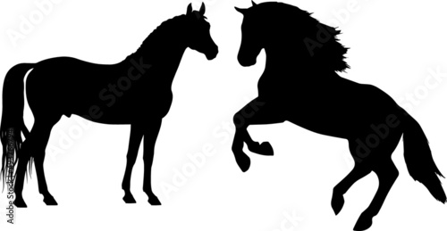 Horse animals Silhouette 