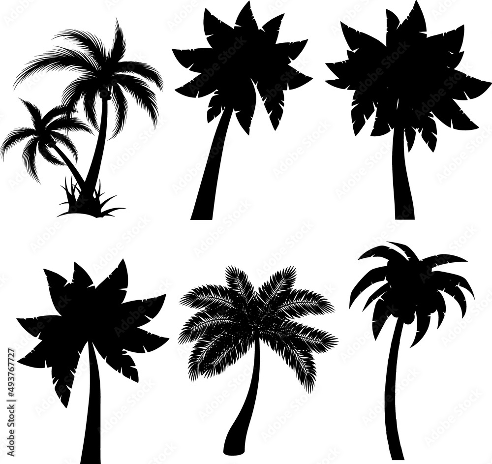 Set of Palm trees and plants silhouette