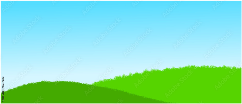 green grass on hills and blue sky