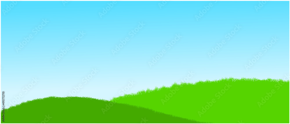 Obraz premium green grass on hills and blue sky
