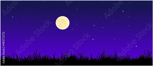 night view with moon and stars