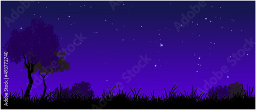 grass night forest background with stars on the sky  night sky scenery