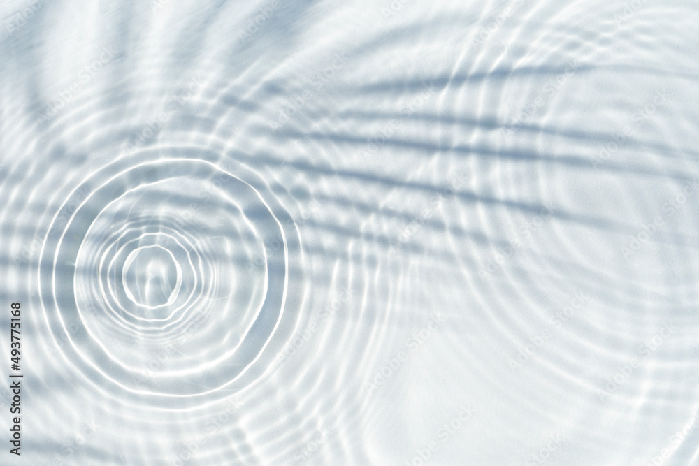 Water drops fall on the transparent surface of the water and the shadow of a palm leaf. Top view, flat lay Water drops fall on the transparent surface of the water and the shadow of a palm leaf. Top view, flat lay