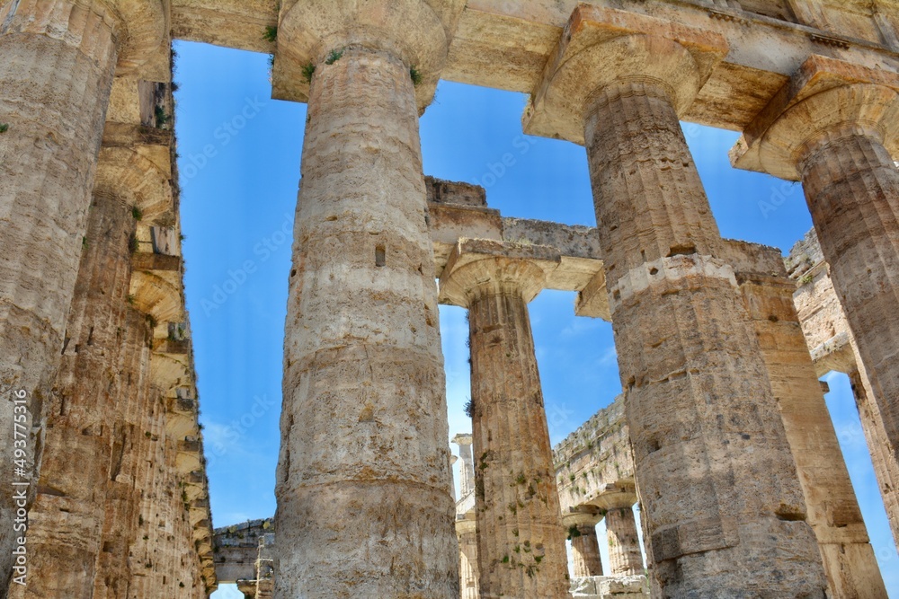 roman forum ruins