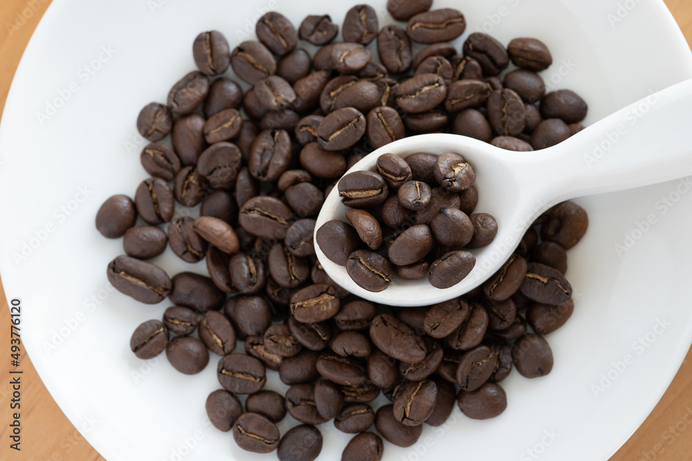 コーヒー豆 コーヒー豆