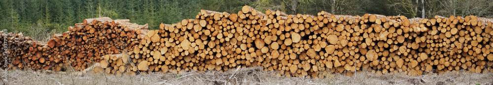 Chopped wood logs for sale use in fire place at home stored on forest woods green biomass energy